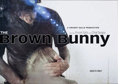 the brown bunny